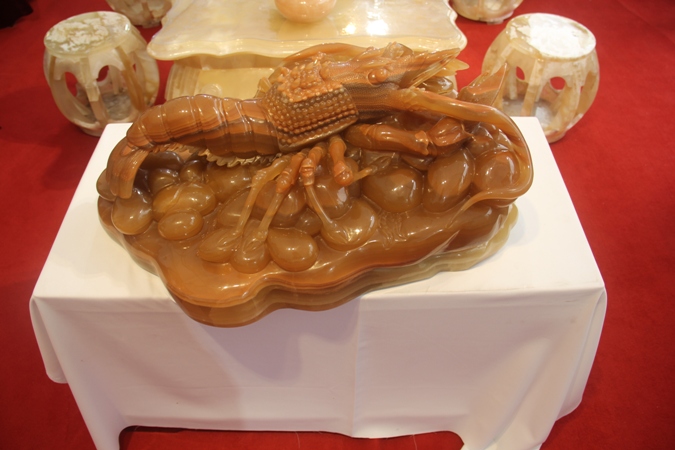Festival sinh vật cảnh Thủ đô lần thứ nhất ảnh 8